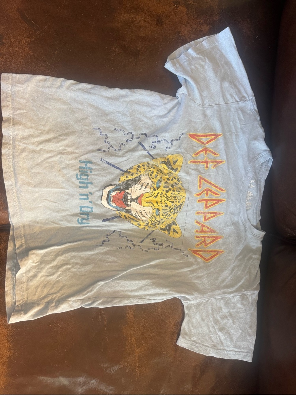 Def Leppard Kids' Light Blue Graphic Tee with Yellow Leopard